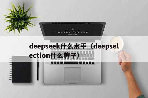 deepseek什么水平（deepselection什么牌子）