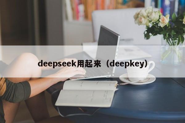 deepseek用起来（deepkey）