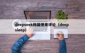 deepseek韩国使用评论（deep sleep）