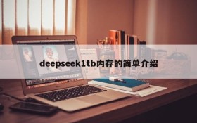 deepseek1tb内存的简单介绍