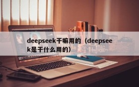 deepseek干嘛用的（deepseek是干什么用的）