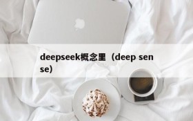 deepseek概念里（deep sense）