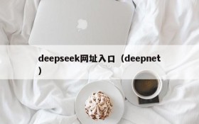 deepseek网址入口(deepnet)