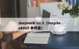 deepseek-v2.5(DeepSeekV25 参数量)