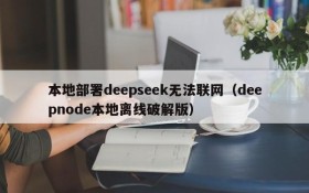 本地部署deepseek无法联网（deepnode本地离线破解版）