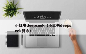 小红书deepseek（小红书deepseek算命）