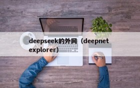 deepseek的外网（deepnet explorer）