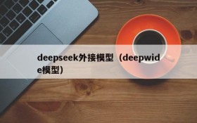 deepseek外接模型（deepwide模型）