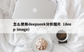 怎么使用deepseek分析图片(deep image)