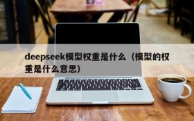 deepseek模型权重是什么(模型的权重是什么意思)