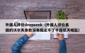外国人评价deepseek(外国人评价美国的沃尔夫条款没有阻止不了中国航天崛起)