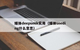 媒体deepseek实用（媒体seeding什么意思）