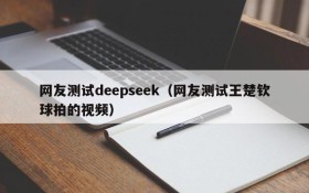 网友测试deepseek（网友测试王楚钦球拍的视频）