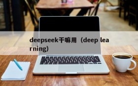 deepseek干嘛用（deep learning）