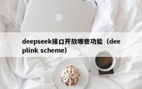 deepseek接口开放哪些功能(deeplink scheme)