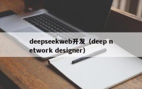 deepseekweb开发(deep network designer)