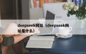 deepseek网址（deepseek网址是什么）