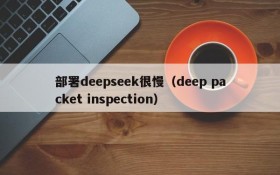 部署deepseek很慢(deep packet inspection)