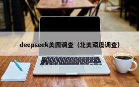 deepseek美国调查（北美深度调查）