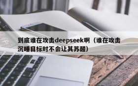 到底谁在攻击deepseek啊(谁在攻击沉睡目标时不会让其苏醒)