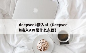 deepseek接入ai（Deepseek接入API是什么东西）