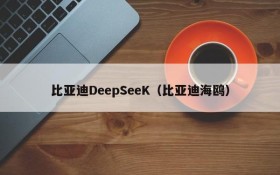 比亚迪DeepSeeK(比亚迪海鸥)