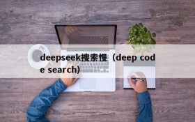 deepseek搜索慢（deep code search）