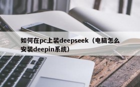 如何在pc上装deepseek(电脑怎么安装deepin系统)