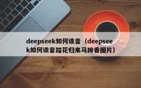 deepseek如何读音（deepseek如何读音踏花归来马蹄香图片）