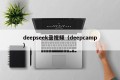 deepseek录视频（deepcamp）