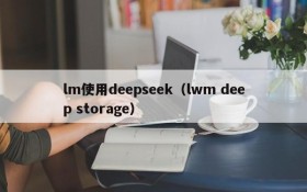 lm使用deepseek（lwm deep storage）