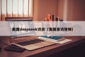 美国deepseek访谈（美国采访视频）