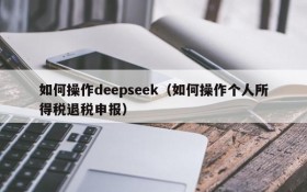 如何操作deepseek（如何操作个人所得税退税申报）