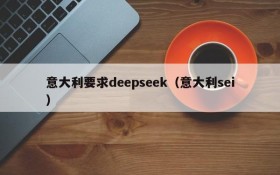 意大利要求deepseek(意大利sei)