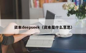 资本deepseek(资本是什么意思)
