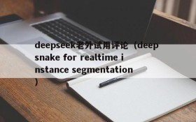 deepseek老外试用评论（deep snake for realtime instance segmentation）