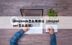 deepseek怎么用接口（deepwiser怎么连接）