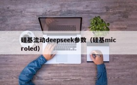 硅基流动deepseek参数(硅基microled)