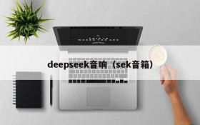 deepseek音响（sek音箱）