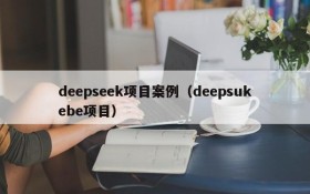 deepseek项目案例(deepsukebe项目)