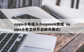 oppo小布接入deepseek教程(oppo小布怎样开启聊天模式)