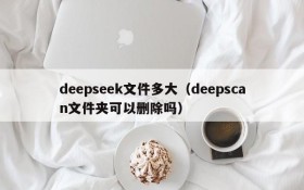 deepseek文件多大（deepscan文件夹可以删除吗）