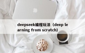 deepseek编程玩法（deep learning from scratch）