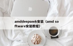 amddeepseek安装(amd software安装教程)