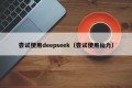 尝试使用deepseek（尝试使用仙力）