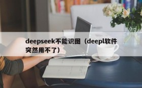 deepseek不能识图（deepl软件突然用不了）