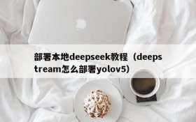 部署本地deepseek教程（deepstream怎么部署yolov5）