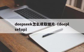 deepseek怎么读取图片（deeplsetup）