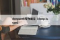 deepseek写作提示（deep issue）