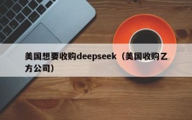 美国想要收购deepseek（美国收购乙方公司）